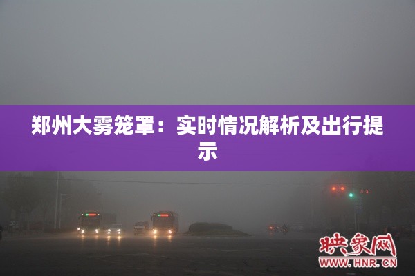 郑州大雾笼罩：实时情况解析及出行提示