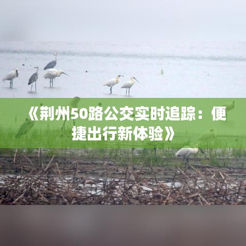《荆州50路公交实时追踪：便捷出行新体验》