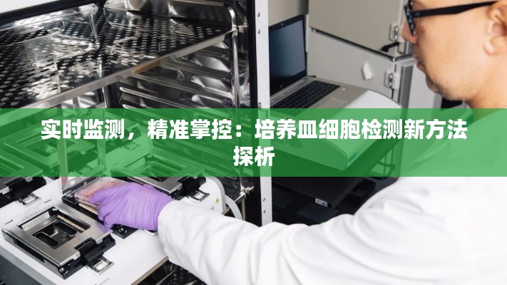 火伞高张 第3页