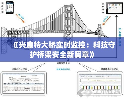 《兴康特大桥实时监控：科技守护桥梁安全新篇章》