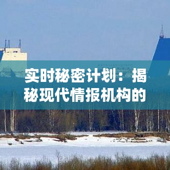 实时秘密计划：揭秘现代情报机构的神秘运作
