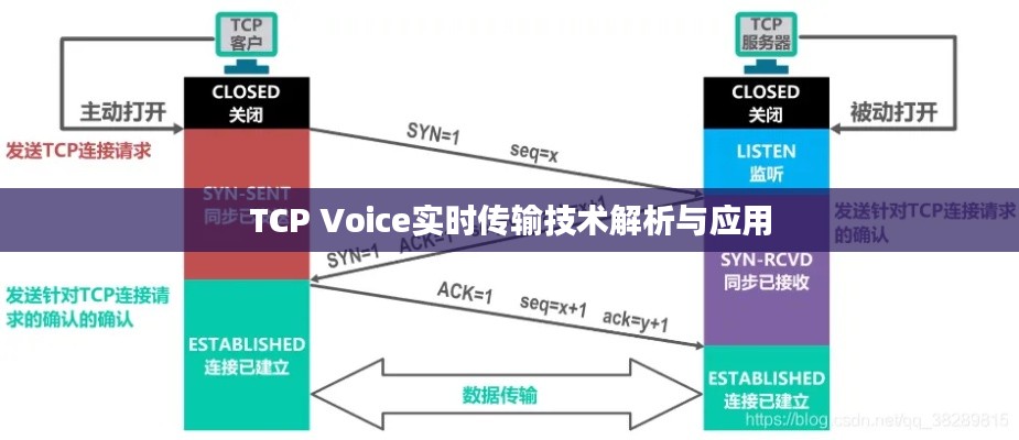 TCP Voice实时传输技术解析与应用