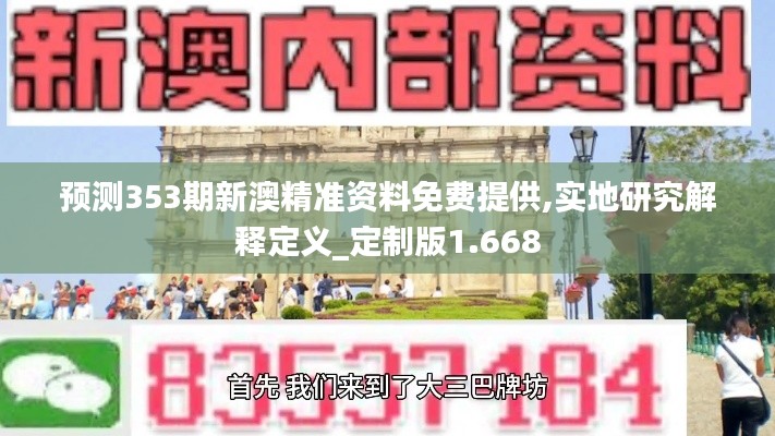 预测353期新澳精准资料免费提供,实地研究解释定义_定制版1.668