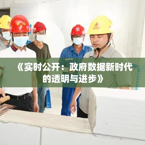 《实时公开：政府数据新时代的透明与进步》