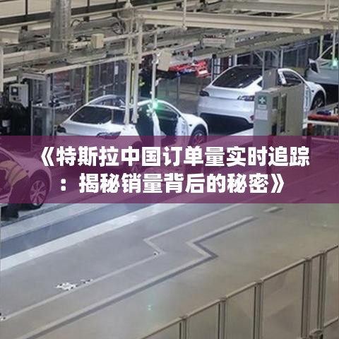 《特斯拉中国订单量实时追踪：揭秘销量背后的秘密》