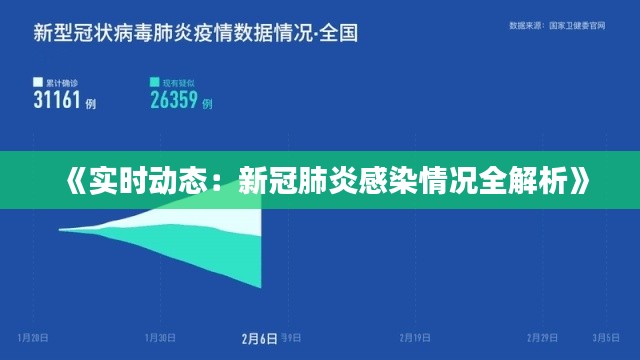 《实时动态：新冠肺炎感染情况全解析》