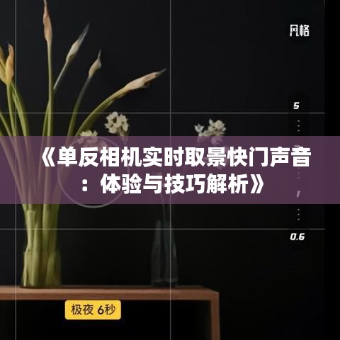 《单反相机实时取景快门声音：体验与技巧解析》