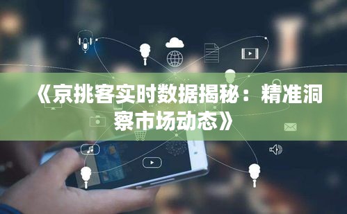 《京挑客实时数据揭秘：精准洞察市场动态》