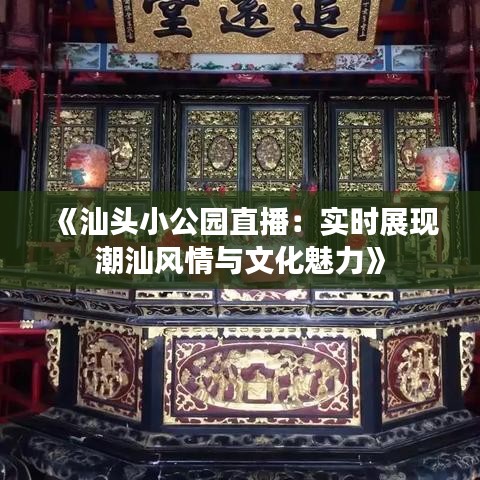 《汕头小公园直播：实时展现潮汕风情与文化魅力》