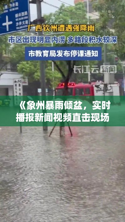 《象州暴雨倾盆，实时播报新闻视频直击现场》