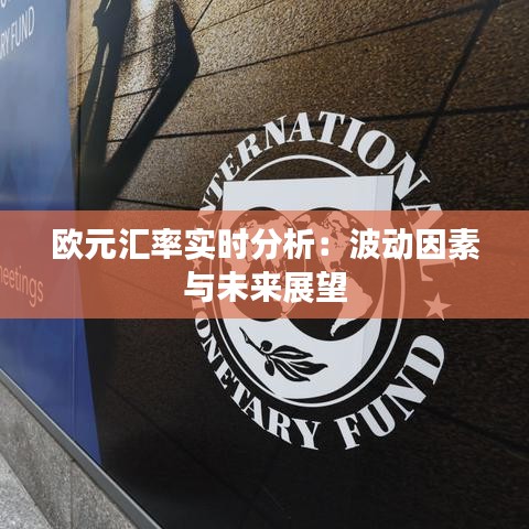 欧元汇率实时分析：波动因素与未来展望