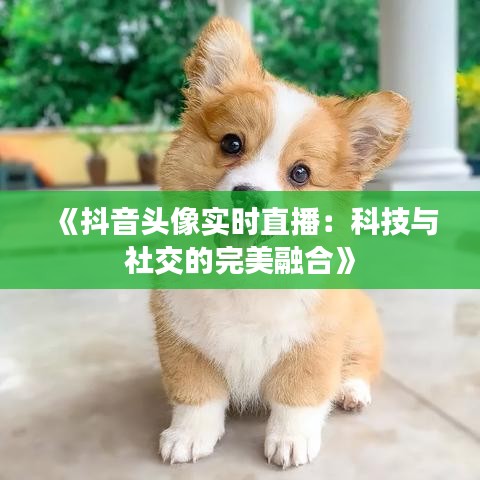 《抖音头像实时直播：科技与社交的完美融合》