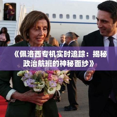 《佩洛西专机实时追踪：揭秘政治航班的神秘面纱》