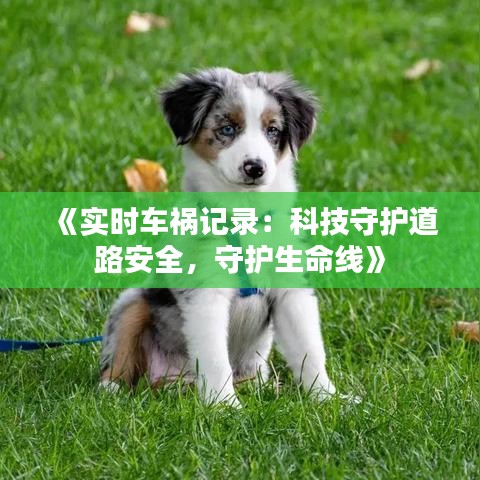 文质彬彬 第3页