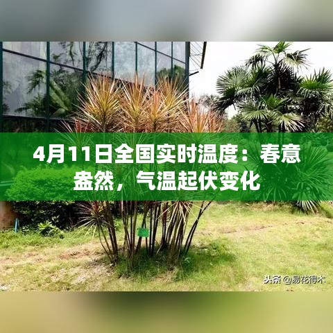 自作主张 第3页