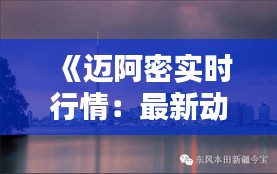 《迈阿密实时行情：最新动态一览无余》
