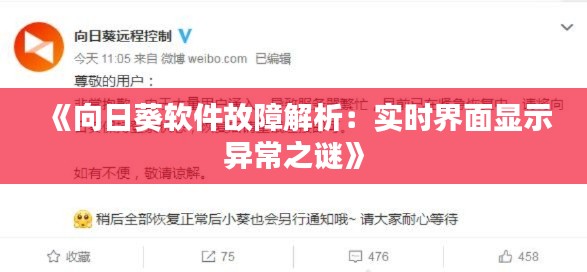 《向日葵软件故障解析：实时界面显示异常之谜》