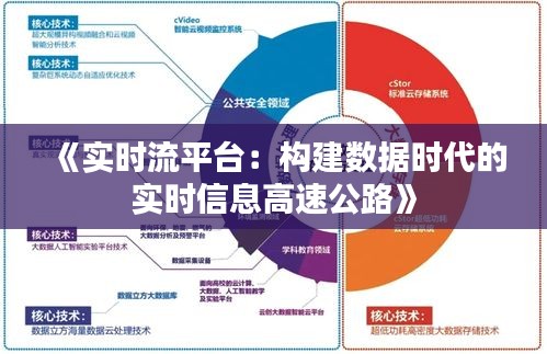 《实时流平台：构建数据时代的实时信息高速公路》