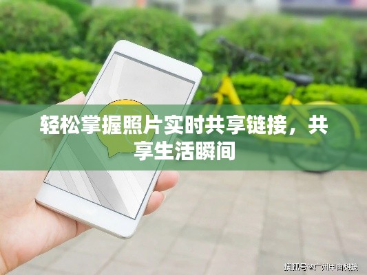 轻松掌握照片实时共享链接，共享生活瞬间