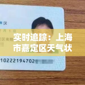 实时追踪：上海市嘉定区天气状况详解