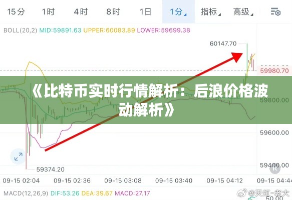 《比特币实时行情解析：后浪价格波动解析》