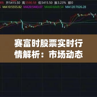 赛富时股票实时行情解析：市场动态与投资策略