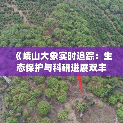 《峨山大象实时追踪：生态保护与科研进展双丰收》