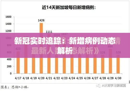 新冠实时追踪：新增病例动态解析