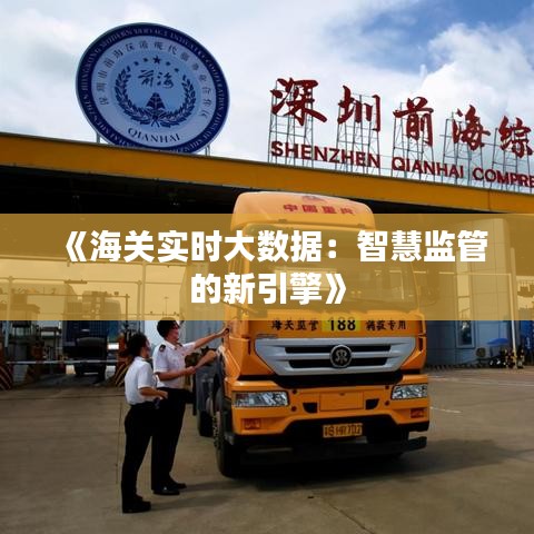 《海关实时大数据：智慧监管的新引擎》