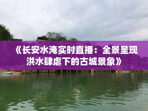 《长安水淹实时直播：全景呈现洪水肆虐下的古城景象》