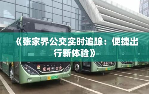 《张家界公交实时追踪：便捷出行新体验》
