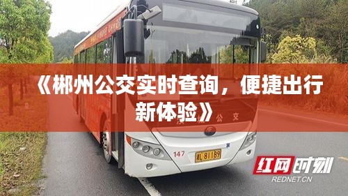 《郴州公交实时查询，便捷出行新体验》