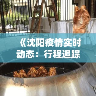 《沈阳疫情实时动态：行程追踪图解疫情走势》