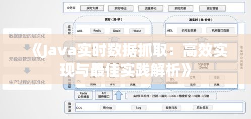 草率从事 第3页