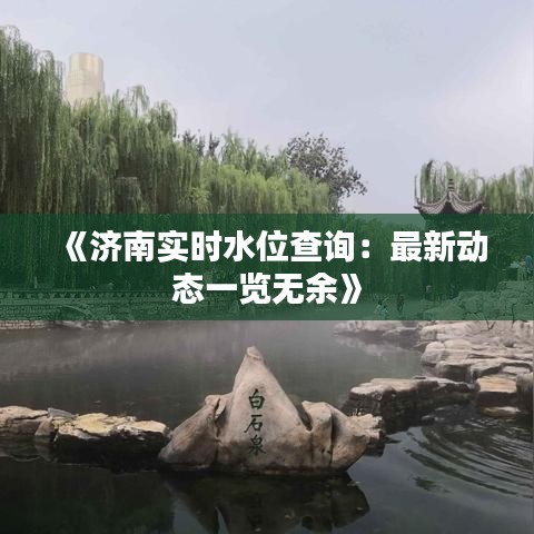 《济南实时水位查询：最新动态一览无余》
