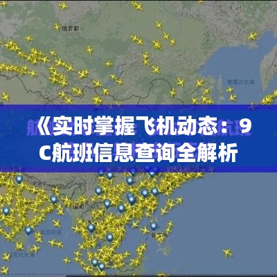 《实时掌握飞机动态：9C航班信息查询全解析》