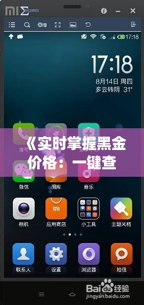 《实时掌握黑金价格：一键查询，洞悉市场动态》
