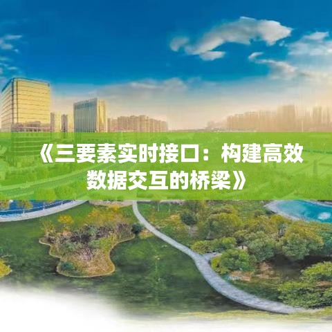 《三要素实时接口：构建高效数据交互的桥梁》