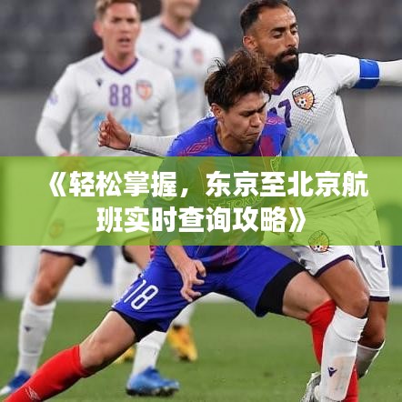 《轻松掌握，东京至北京航班实时查询攻略》