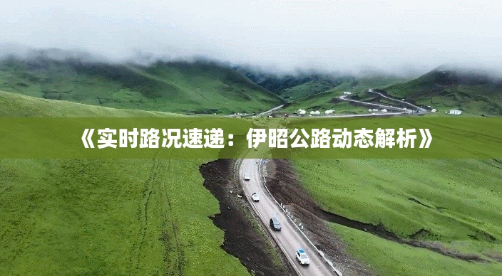 人前显贵 第3页