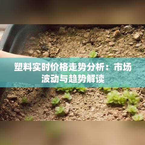塑料实时价格走势分析：市场波动与趋势解读
