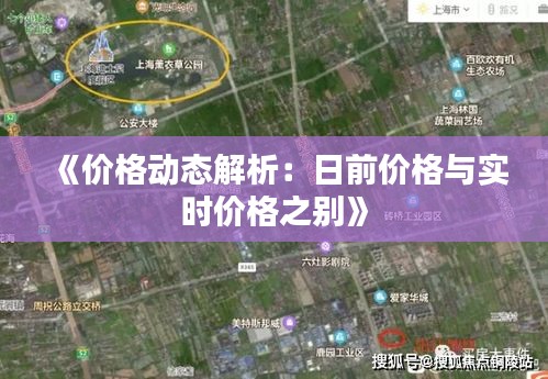 《价格动态解析：日前价格与实时价格之别》