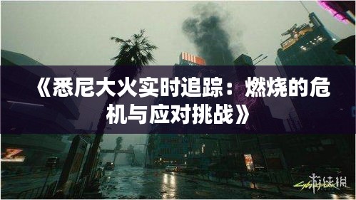 《悉尼大火实时追踪：燃烧的危机与应对挑战》