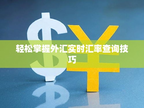 轻松掌握外汇实时汇率查询技巧