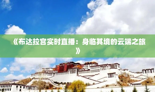 《布达拉宫实时直播：身临其境的云端之旅》