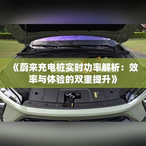 《蔚来充电桩实时功率解析：效率与体验的双重提升》
