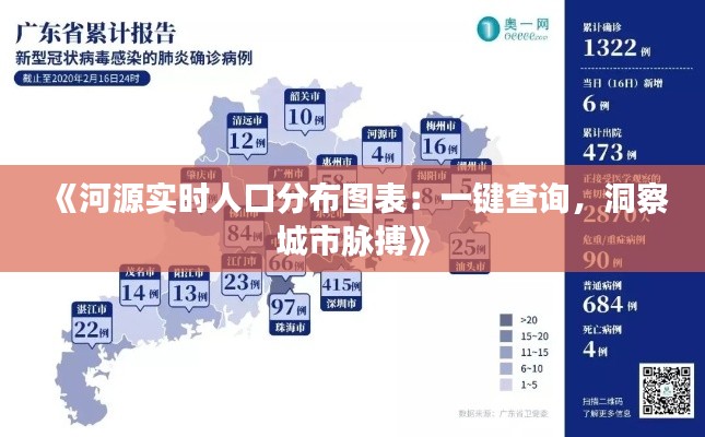 《河源实时人口分布图表：一键查询，洞察城市脉搏》