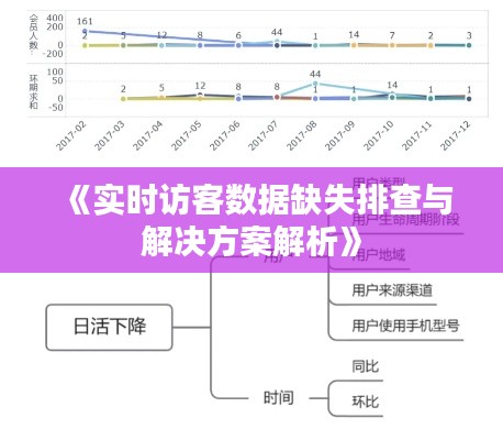 《实时访客数据缺失排查与解决方案解析》