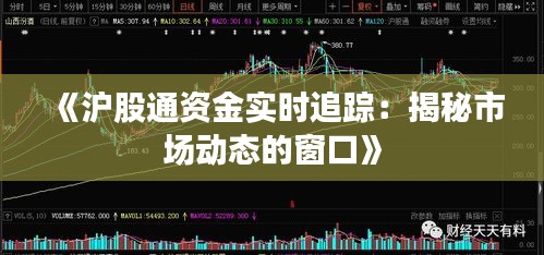 《沪股通资金实时追踪：揭秘市场动态的窗口》
