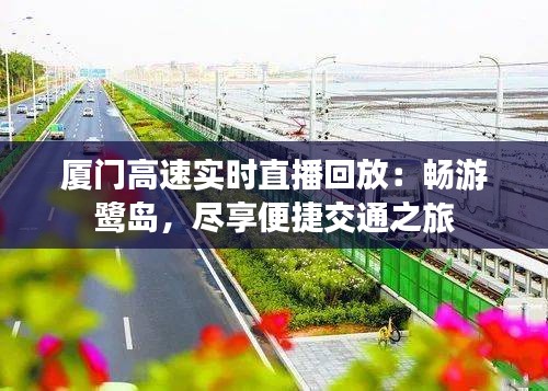 厦门高速实时直播回放：畅游鹭岛，尽享便捷交通之旅